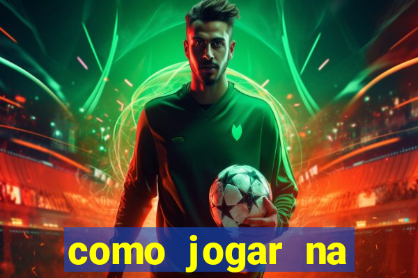 como jogar na lotinha do jogo do bicho